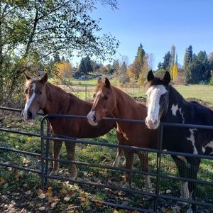 Meet your Posher, Marcy